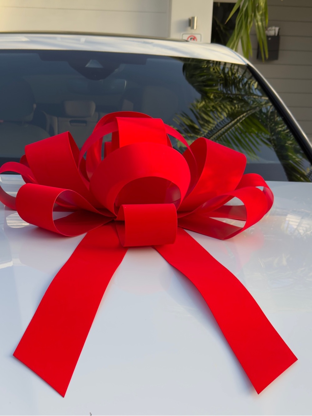 Large Red VELVET Gift Bow for new vehicle purchase
